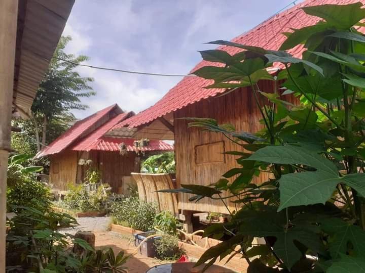Odambang Village Homestay พระตะบอง ภายนอก รูปภาพ