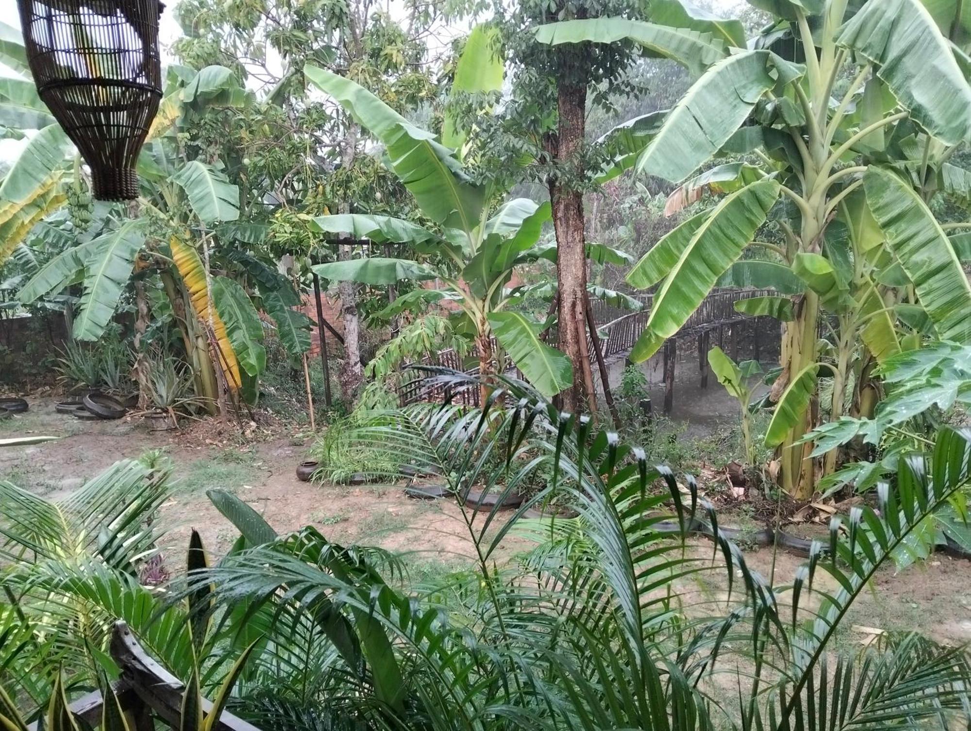Odambang Village Homestay พระตะบอง ภายนอก รูปภาพ